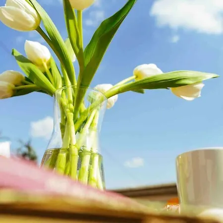 Amazing Views Rooftop Flat - Amzei Square *